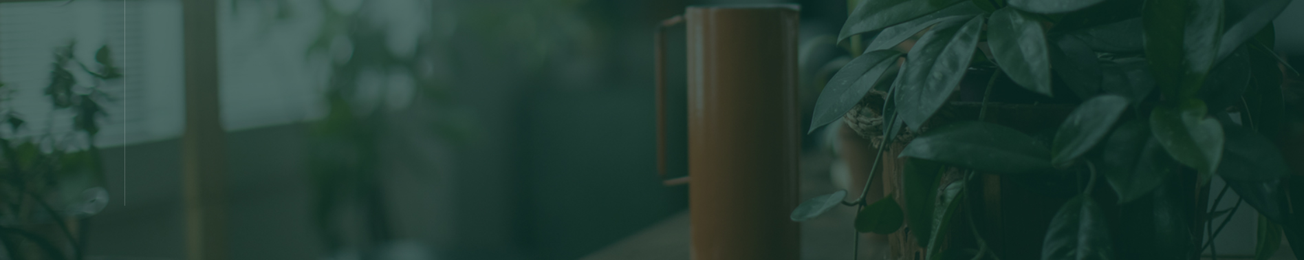 banner image